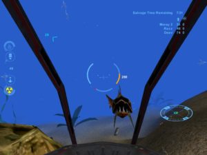 Meeting the friendly marine life.